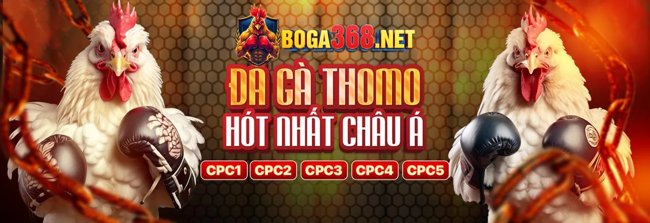 Ảnh ghép các trò chơi cá cược đa dạng tại m788 code